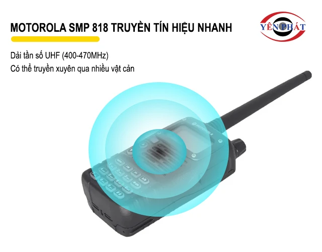 nhận và truyền tin nhanh nhạy