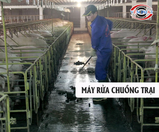 Top 11 Máy rửa chuồng trại: Siêu khoẻ, Giá rẻ, Đáng mua