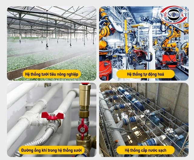 Ứng dụng của cút nối nhanh đơn gen trong