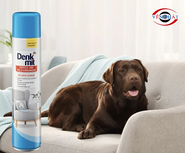 Dung dịch vệ sinh thảm ghế Denkmit
