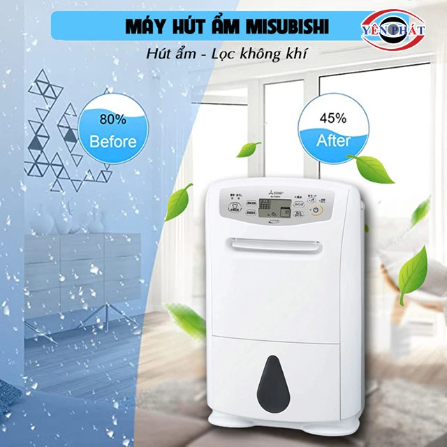  Hút ẩm thần tốc