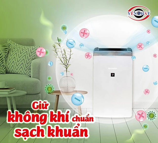 Hiệu năng hút ẩm nhanh, siêu khoẻ