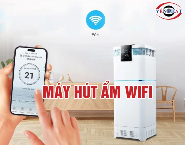 Top 6 Máy hút ẩm Wifi: Kết nối nhanh, Giá rẻ, Hiện đại