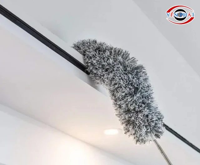 Cây phủi bụi gia đình