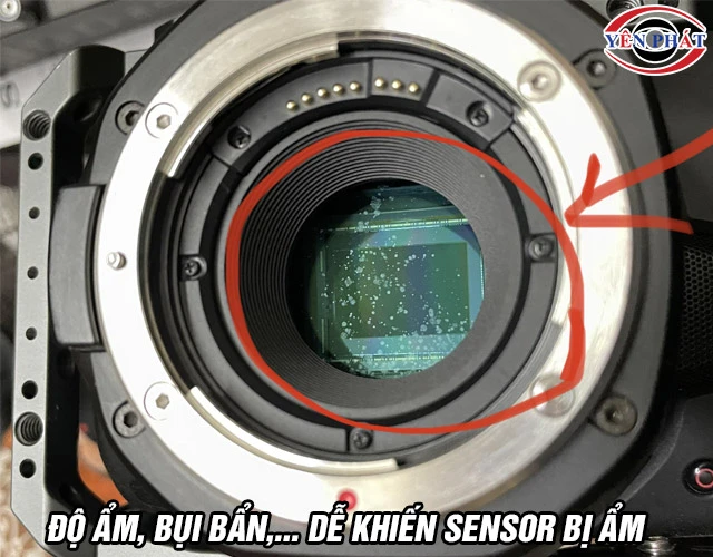 Nguyên nhân Sensor máy ảnh bị mốc