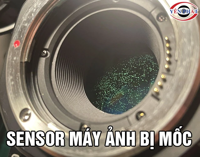 Sensor máy ảnh bị mốc: 4 Nguyên nhân & Cách khắc phục