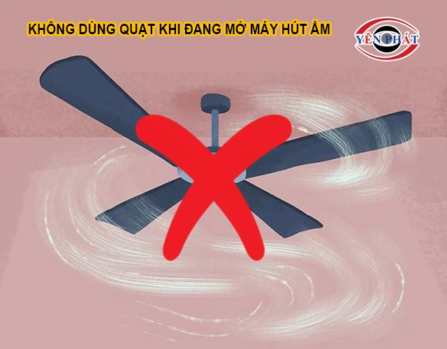 không dùng quạt khi bật máy hút ẩm