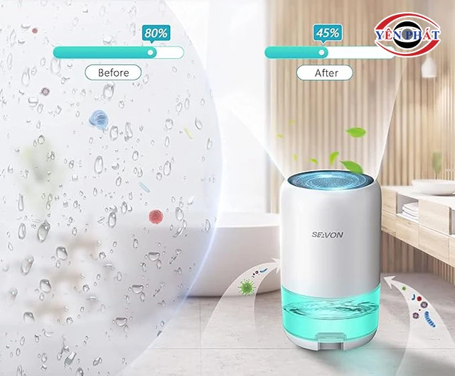 Top 7 máy hút ẩm Seavon: Thương hiệu Mỹ, Nổi bật, Giá rẻ