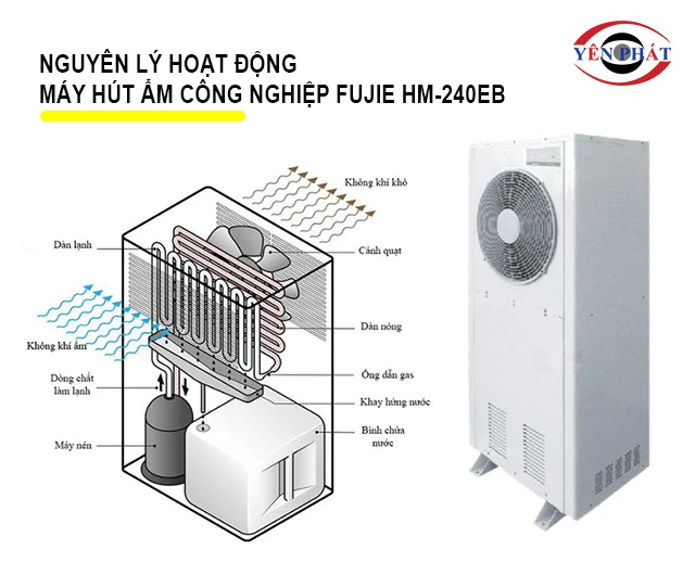 Nguyên lý hoạt động của FujiE HM-240EB