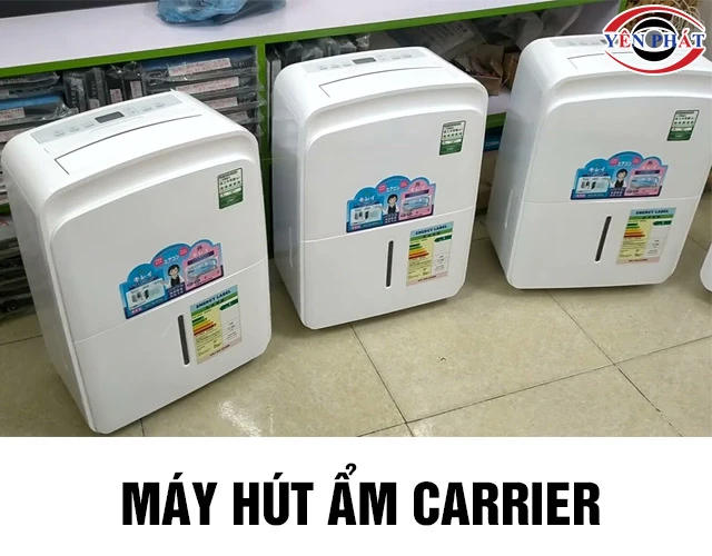 Review Máy hút ẩm Carrier: Top 5 Mẫu được ưa chuộng nhất