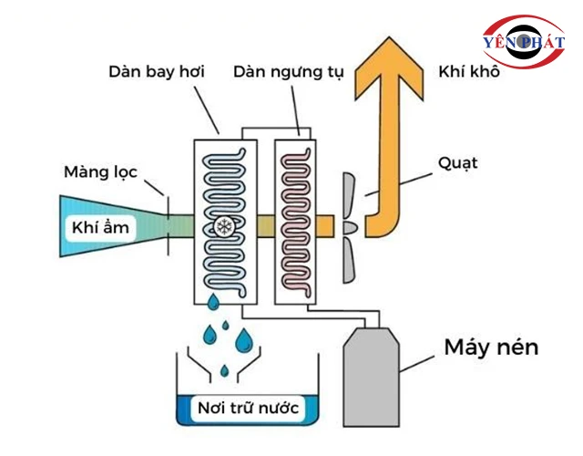 nguyên lý hoạt động