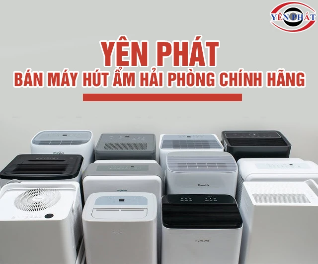 bán máy hút ẩm tại Hải Phòng