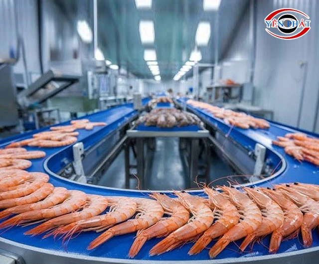 Lợi ích đầu tư máy dò kim loại hải sản