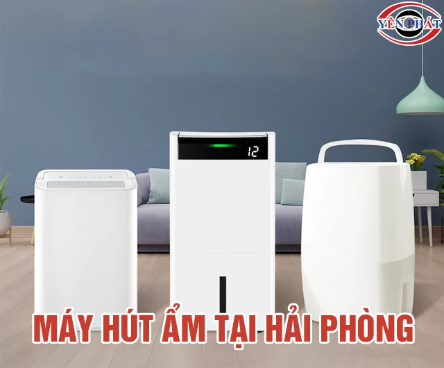 Mua máy hút ẩm tại Hải Phòng: Chính hãng, Giá siêu hời