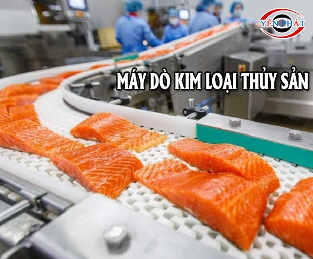 Báo giá máy dò kim loại trong thủy sản - Mới cập nhật 2025