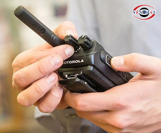 thuật ngữ Multiple Scanning