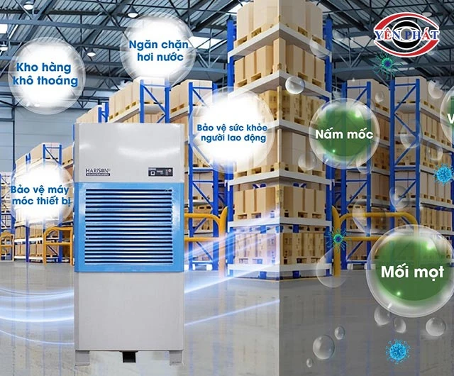 máy hút ẩm giúp ngăn ngừa nấm mốc