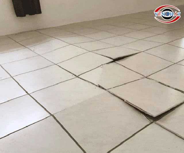 Hậu quả nền nhà bị thấm nước