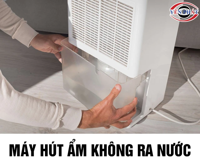 Máy hút ẩm không ra nước: 5 Nguyên nhân & Cách sửa nhanh