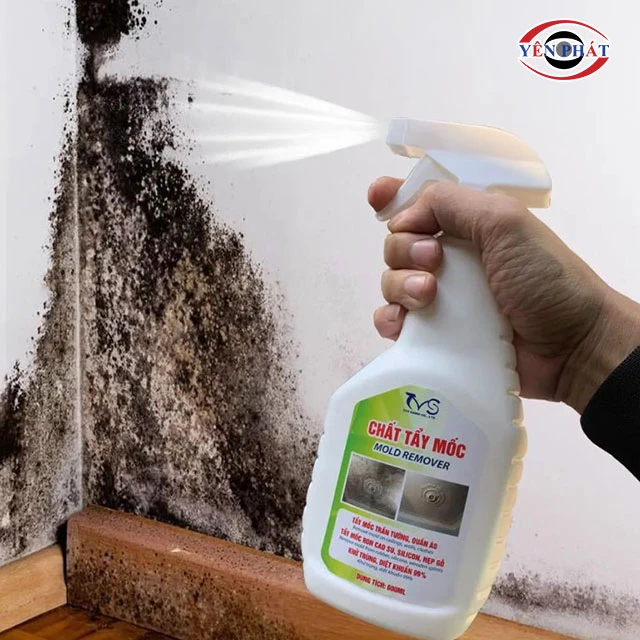 Dùng hóa chất chuyên dụng