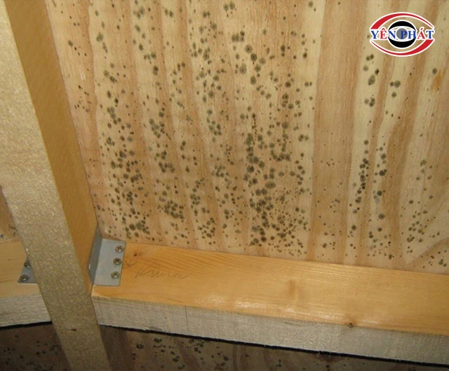 tủ bếp dễ bị ẩm mốc