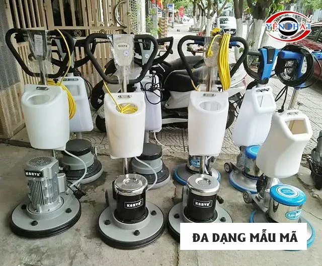 Mẫu mã đa dạng, nhiều phân loại