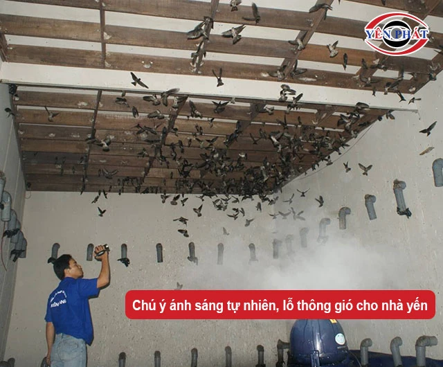 Chú ý ánh sáng tự nhiên, lỗ thông gió