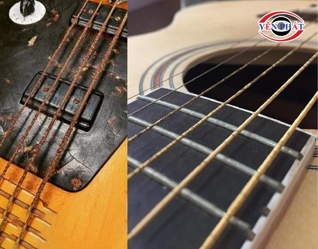 đàn guitar bị nấm mốc