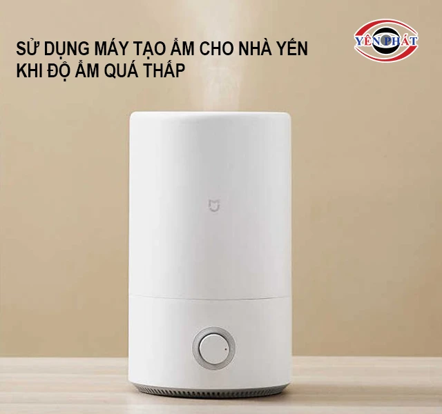 Dùng máy tạo ẩm
