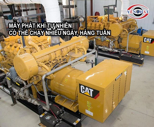 máy phát khí tự nhiên