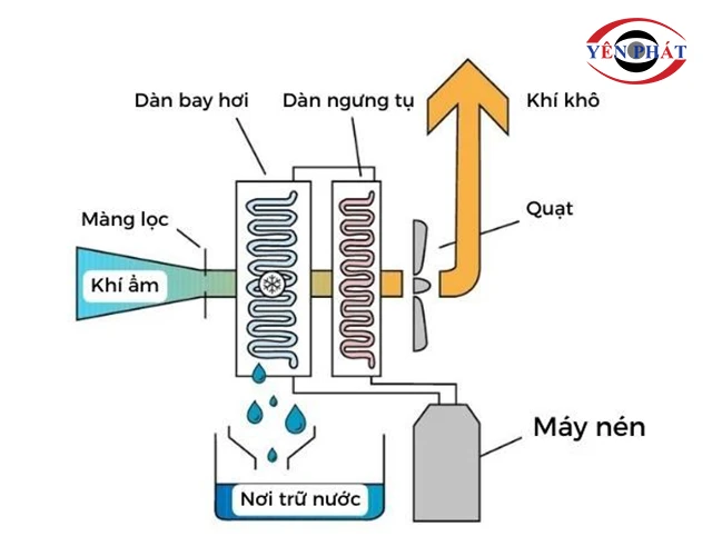 Cách thức hút ẩm của máy Kumisai KMS-168LD