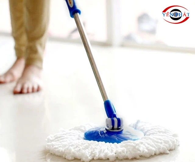 Chọn cây lau phù hợp nhu cầu