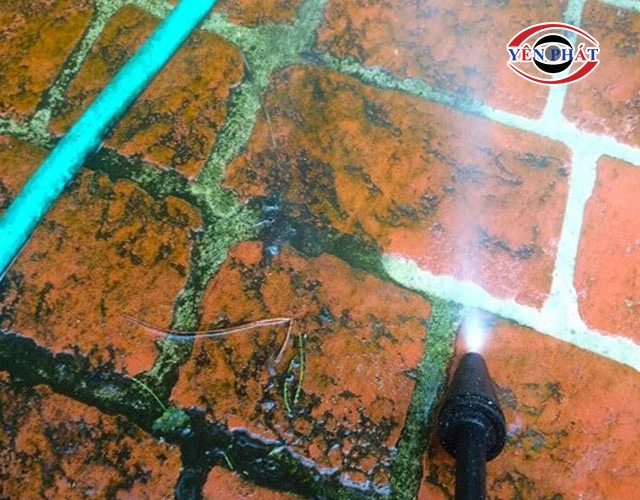 Cách tẩy sạch nền gạch đỏ đầy rong rêu