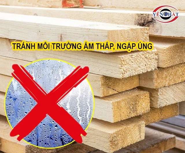 tránh môi trường ẩm thấp