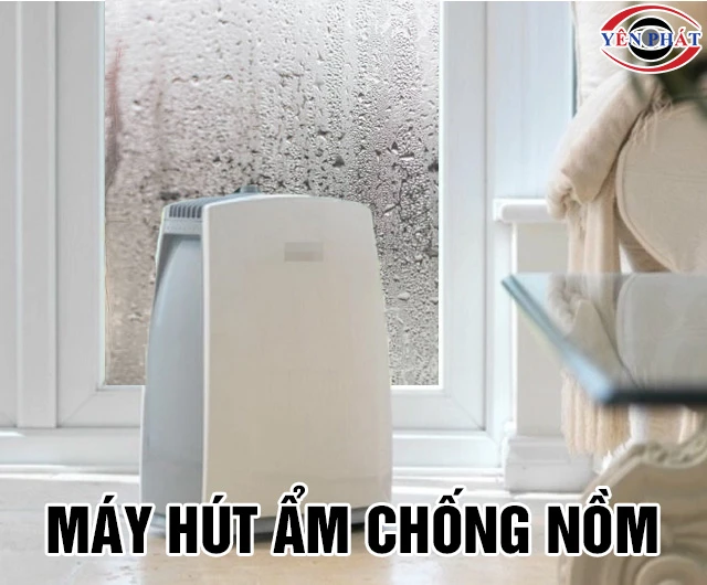 Máy hút ẩm chống nồm hiểu quả