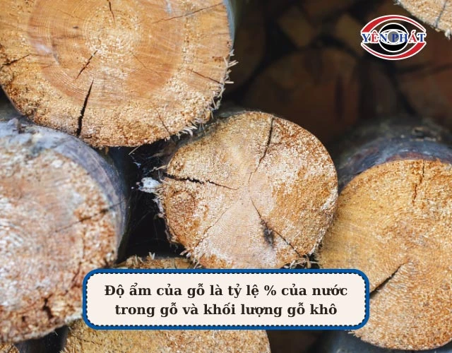 Độ ẩm tự nhiên của gỗ