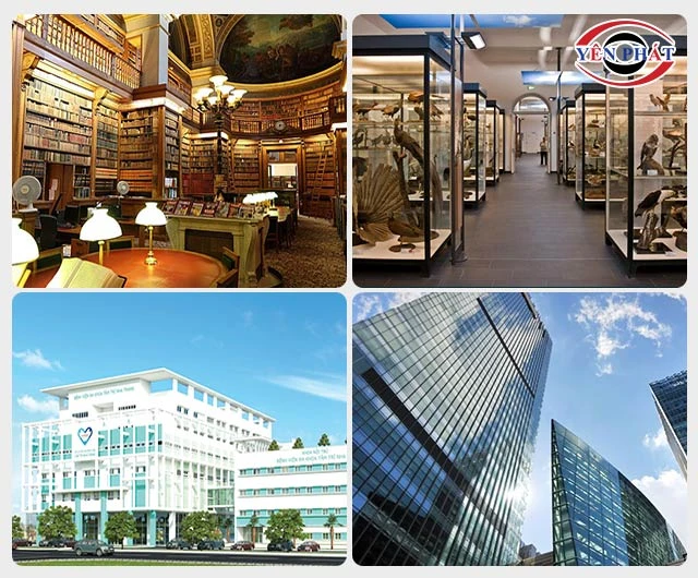 ứng dụng của Bộ bông lau kính 35cm