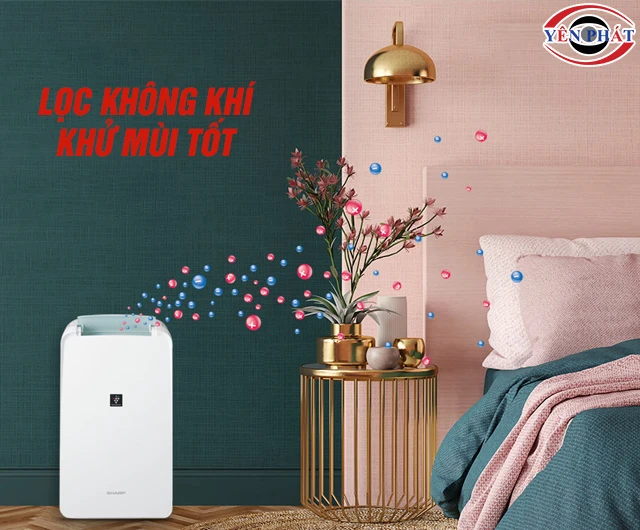 Lợi ích đặt máy hút ẩm trong phòng ngủ
