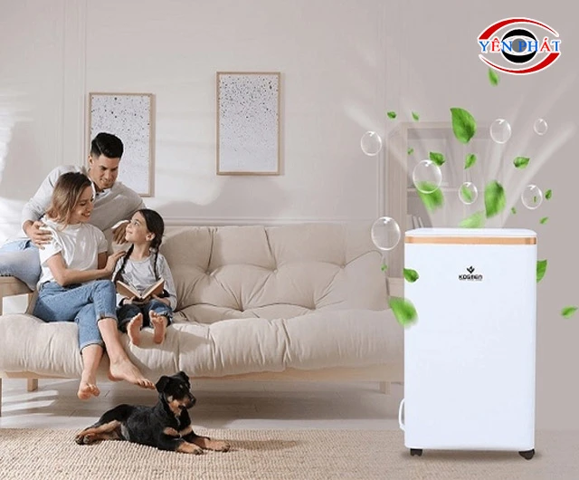 Top 10+ Máy hút ẩm cho phòng 50m2: Hiệu năng đỉnh, Giá rẻ