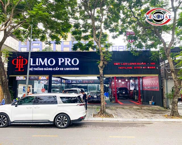 Limo Pro