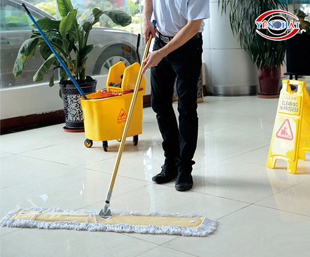 Giao diện cây lau nhà vàng 110 cm