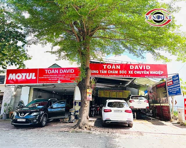Toàn David