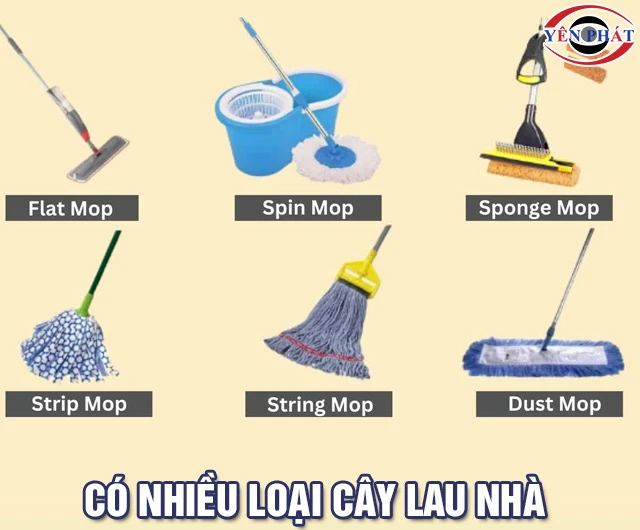 Các cây lau nhà tiếng Anh