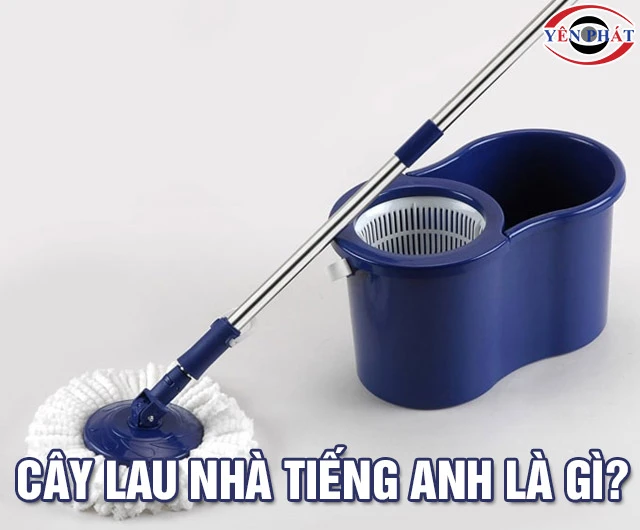 Cây lau nhà tiếng Anh là gì? Cách dùng đúng, Dễ hiểu