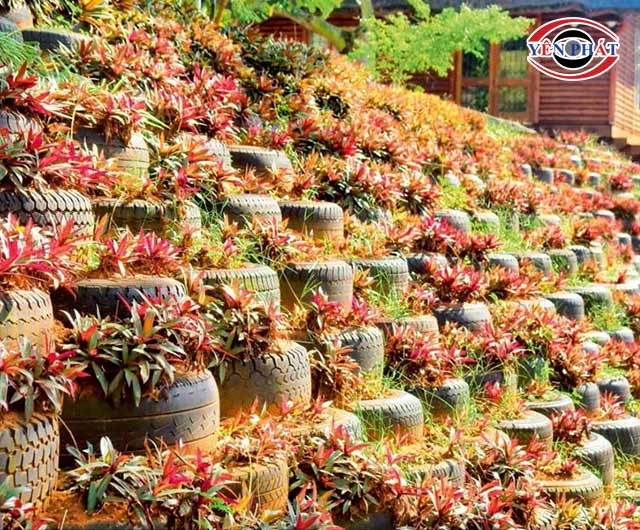 hàng rào bằng lốp xe