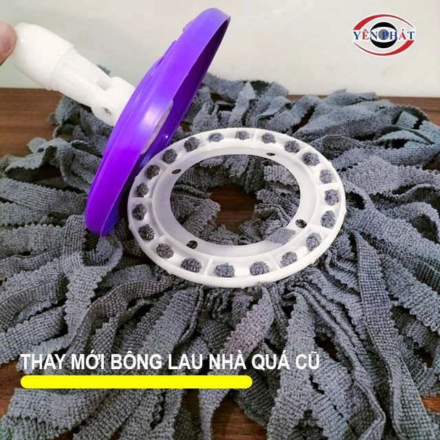 thay mới bông lau nhà cũ