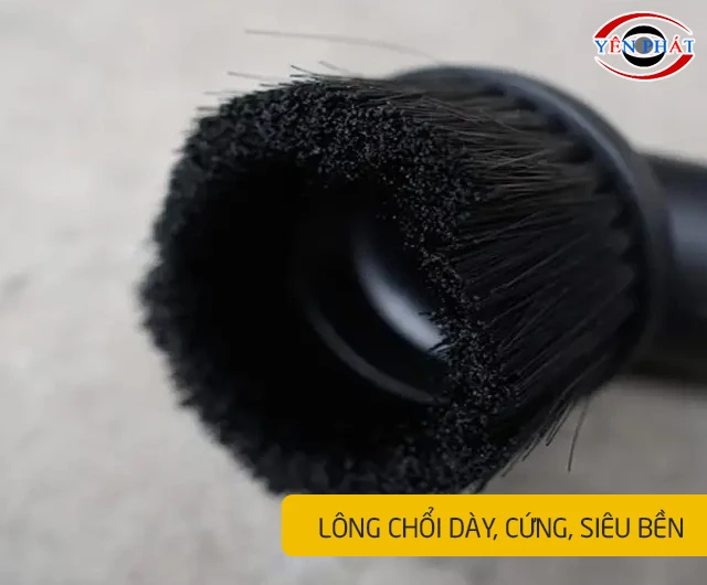 Lông chổi dày, cứng, siêu bền
