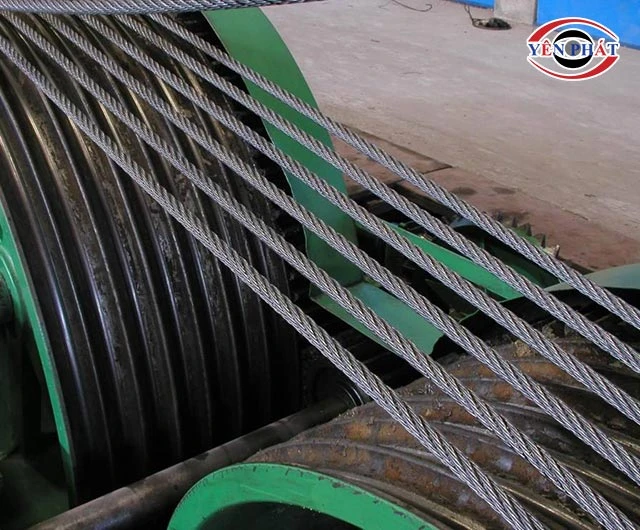 mỡ giúp giảm ma sát