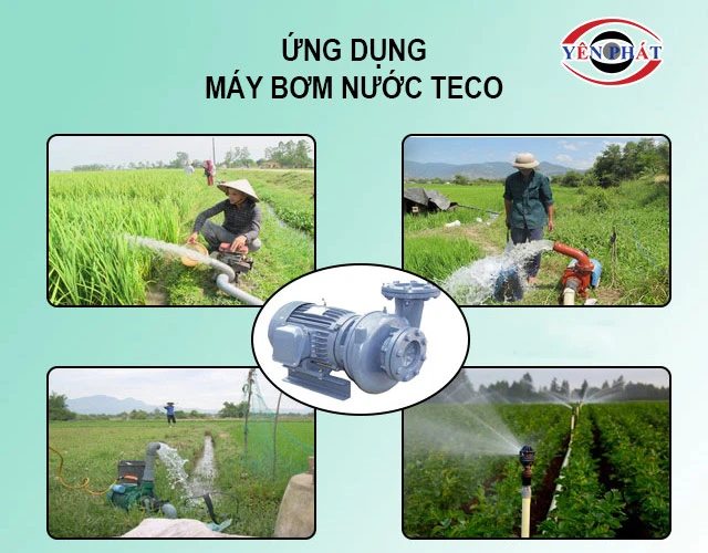 Ứng dụng của máy bơm Teco