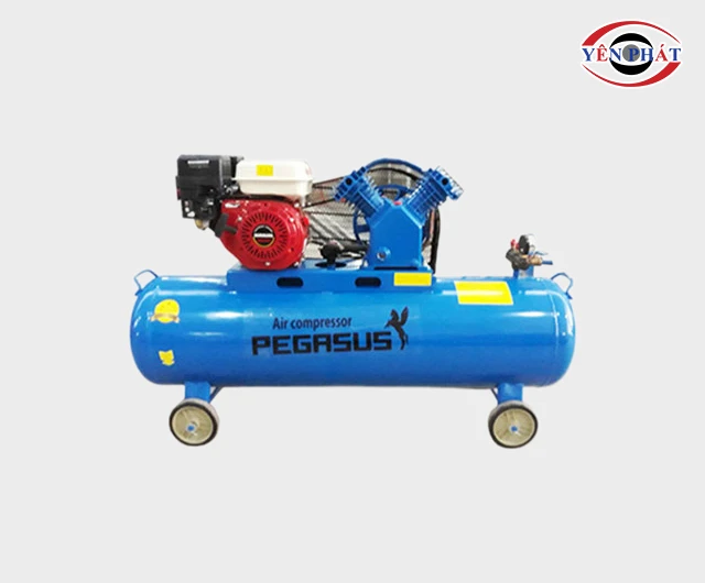 Máy nén khí Pegasus TM-V-0.25/8-100L
